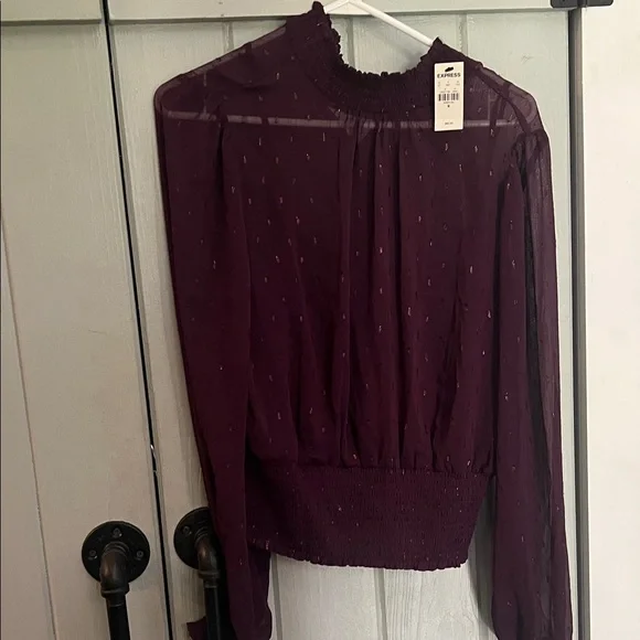 Express Plum Sheer Smocked Waist & Neck Long Sleeve Blouse - Picture 1 of 5